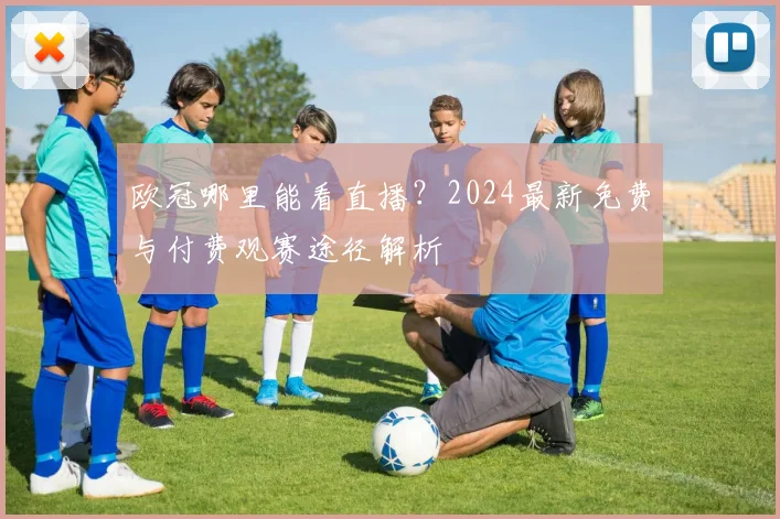 欧冠哪里能看直播?2024最新免费与付费观赛途径解析