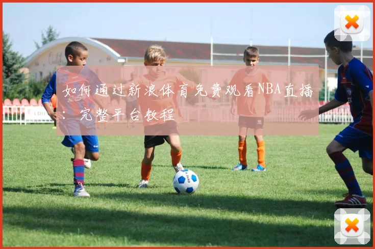 如何通过新浪体育免费观看NBA直播：完整平台教程