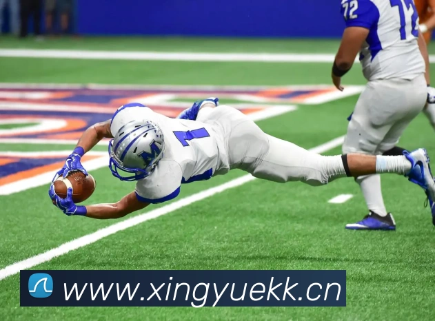 开云官方登录平台生态图