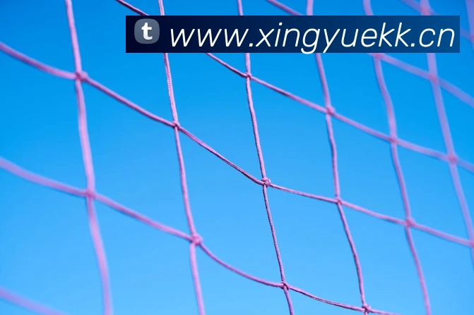 开云官方登录APP 封面图